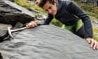 Hiker discovers first trace of entire prehistoric ecosystem in Italian Alps