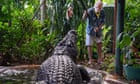 Solving the true age of Cassius, the world’s largest captive crocodile who died last week