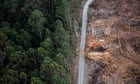 Greens drop climate trigger demand in attempt to restart Nature Positive talks with Labor