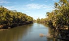 ‘Ecosystems are collapsing’: one of Australia’s longest rivers has lost more than half its water in one section, research shows