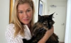 Mittens the cat becomes accidental frequent flyer after being left on a plane by mistake