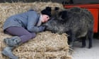 Adopted wild boar Rillette can stay with her owner, French court rules