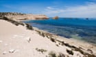 Surfer missing off South Australia’s west coast believed to be victim of shark attack