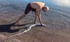 Shimmering oarfish rarely seen near ocean surface pops up on Mexico beach