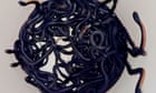 Sydney man discovers ‘shock’ 102 red-bellied black snakes in garden