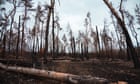 Forest fires push up greenhouse gas emissions from war in Ukraine