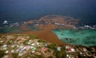 Scientists identify ‘tipping point’ that caused clumps of toxic Florida seaweed