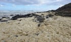 Mysterious sea foam on South Australian beaches reportedly leaves more than 100 surfers ill