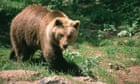 French hunter, 81, on trial for killing endangered bear that attacked him