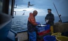 ‘Slavish’ catch limits ignored scientific advice, say fishers in case against Defra