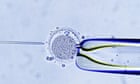 Woman gives birth to stranger’s baby after IVF bungle in Brisbane