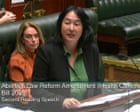 Abortion pills to be easier to access after Greens bill passes in NSW despite opposition from Tony Abbott