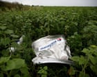 UN body rules Russia responsible for downing of flight MH17 prompting calls for compensation